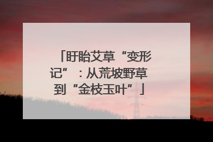 盱眙艾草“变形记”：从荒坡野草到“金枝玉叶”