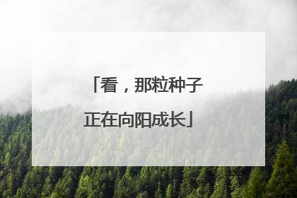 看，那粒种子正在向阳成长
