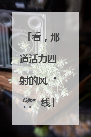 看，那道活力四射的风“警”线