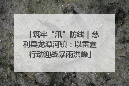 筑牢“汛”防线｜慈利县龙潭河镇：以雷霆行动迎战暴雨洪峰