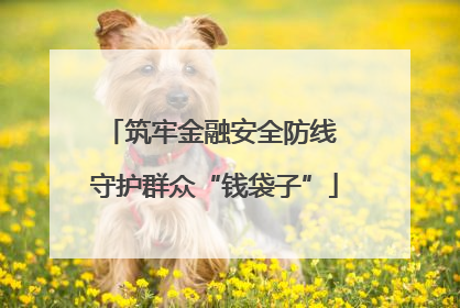 筑牢金融安全防线 守护群众“钱袋子”