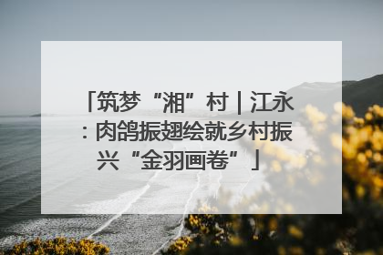 筑梦“湘”村｜江永：肉鸽振翅绘就乡村振兴“金羽画卷”