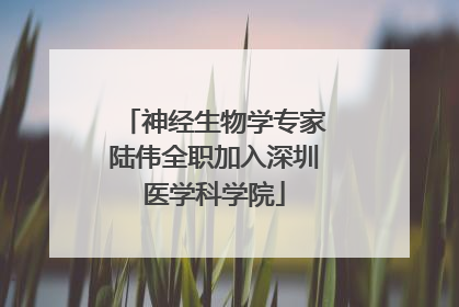神经生物学专家陆伟全职加入深圳医学科学院
