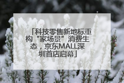 科技零售新地标重构“家场景”消费生态，京东MALL深圳首店启幕