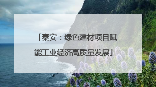 秦安：绿色建材项目赋能工业经济高质量发展