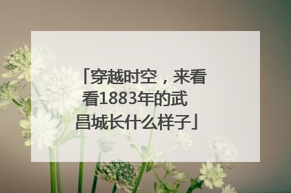 穿越时空，来看看1883年的武昌城长什么样子