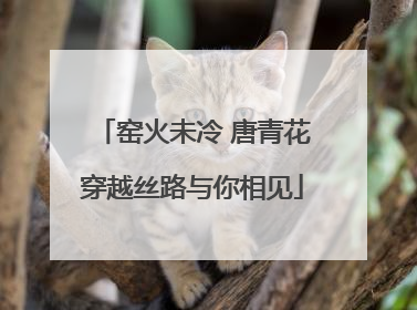 窑火未冷 唐青花穿越丝路与你相见