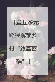 章丘多元路径解锁乡村“致富密码”