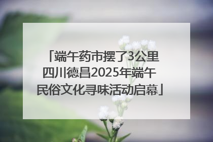 端午药市摆了3公里 四川德昌2025年端午民俗文化寻味活动启幕