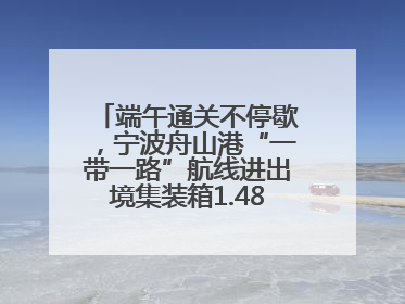 端午通关不停歇，宁波舟山港“一带一路”航线进出境集装箱1.48万标箱