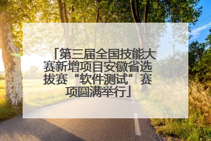第三届全国技能大赛新增项目安徽省选拔赛“软件测试”赛项圆满举行