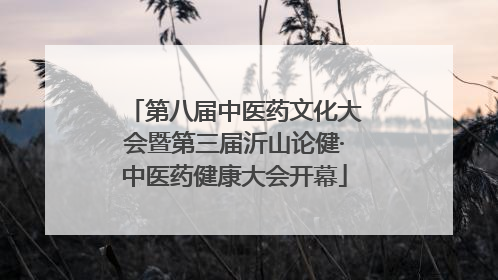 第八届中医药文化大会暨第三届沂山论健·中医药健康大会开幕