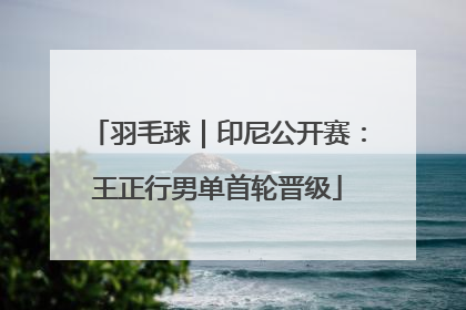 羽毛球｜印尼公开赛：王正行男单首轮晋级