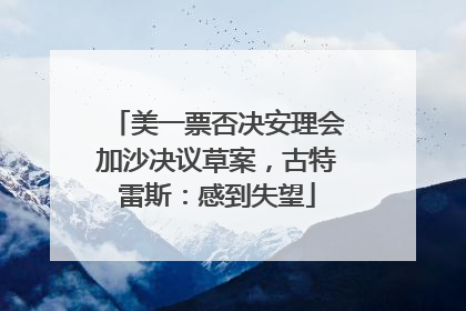 美一票否决安理会加沙决议草案，古特雷斯：感到失望