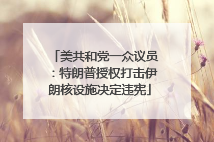 美共和党一众议员：特朗普授权打击伊朗核设施决定违宪