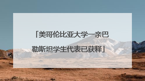 美哥伦比亚大学一亲巴勒斯坦学生代表已获释