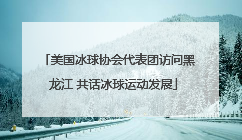 美国冰球协会代表团访问黑龙江 共话冰球运动发展
