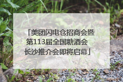 美团闪电仓招商会暨第113届全国糖酒会长沙推介会即将启幕
