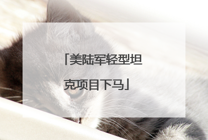 美陆军轻型坦克项目下马