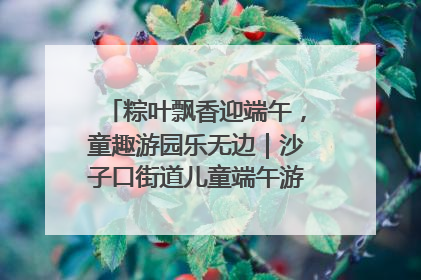 粽叶飘香迎端午,童趣游园乐无边|沙子口街道儿童端午游园活动圆满落幕