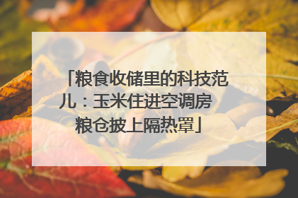 粮食收储里的科技范儿：玉米住进空调房 粮仓披上隔热罩