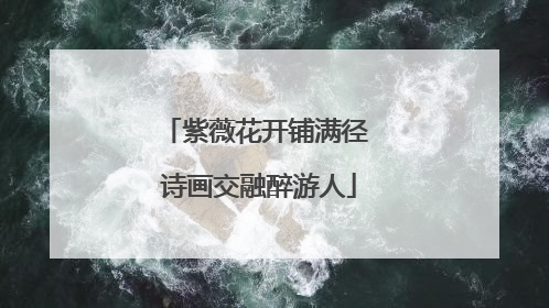 紫薇花开铺满径 诗画交融醉游人