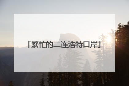 繁忙的二连浩特口岸