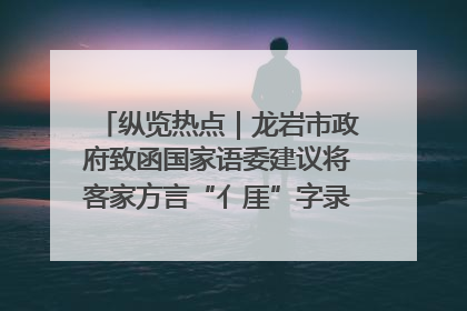 纵览热点｜龙岩市政府致函国家语委建议将客家方言“亻厓”字录入《新华字典》引发热议，当地回应