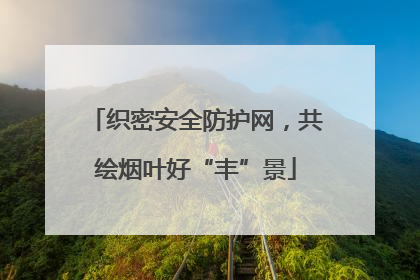 织密安全防护网，共绘烟叶好“丰”景
