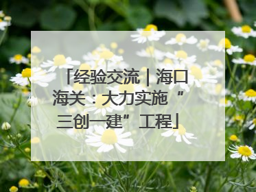 经验交流｜海口海关：大力实施“三创一建”工程