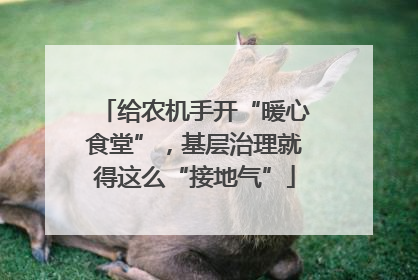 给农机手开“暖心食堂”，基层治理就得这么“接地气”