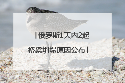俄罗斯1天内2起桥梁坍塌原因公布