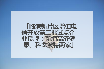临港新片区增值电信开放第二批试点企业授牌：新增高济健康、科戈波特两家