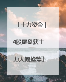主力资金｜4股尾盘获主力大幅抢筹