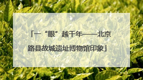 一“眼”越千年——北京路县故城遗址博物馆印象