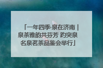 一年四季·泉在济南｜泉茶雅韵共芬芳 趵突泉名泉茗茶品鉴会举行