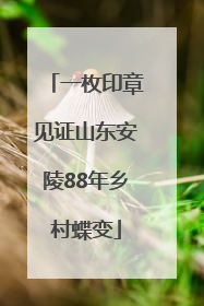 一枚印章见证山东安陵88年乡村蝶变