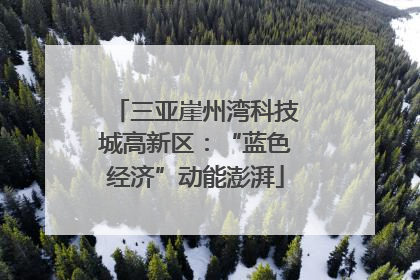 三亚崖州湾科技城高新区：“蓝色经济”动能澎湃