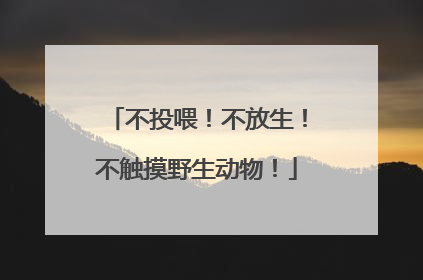 不投喂！不放生！不触摸野生动物！