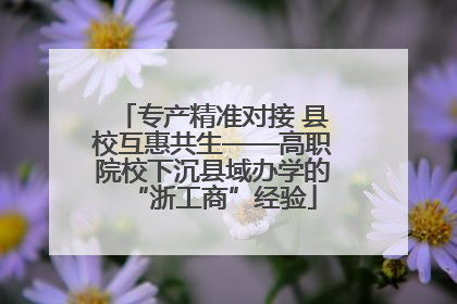 专产精准对接 县校互惠共生——高职院校下沉县域办学的“浙工商”经验