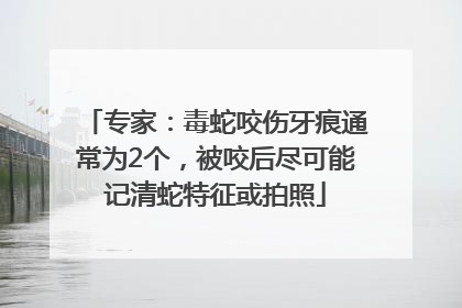 专家：毒蛇咬伤牙痕通常为2个，被咬后尽可能记清蛇特征或拍照