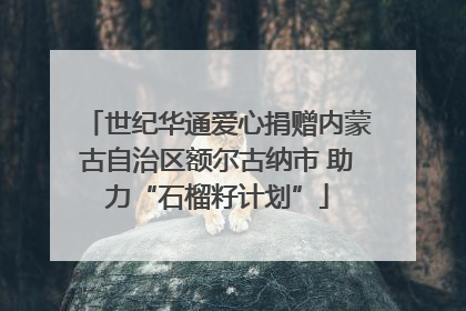 世纪华通爱心捐赠内蒙古自治区额尔古纳市 助力“石榴籽计划”