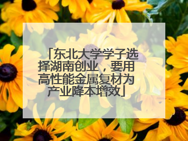东北大学学子选择湖南创业，要用高性能金属复材为产业降本增效