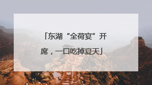 东湖“全荷宴”开席，一口吃掉夏天