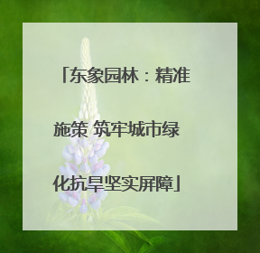 东象园林：精准施策 筑牢城市绿化抗旱坚实屏障