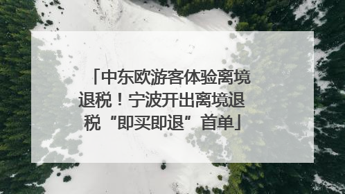 中东欧游客体验离境退税！宁波开出离境退税“即买即退”首单