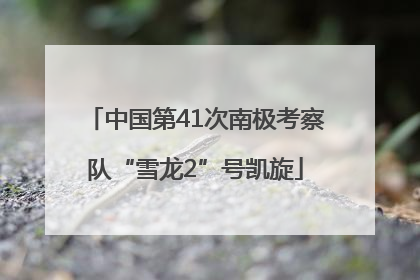 中国第41次南极考察队“雪龙2”号凯旋