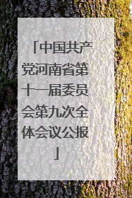 中国共产党河南省第十一届委员会第九次全体会议公报