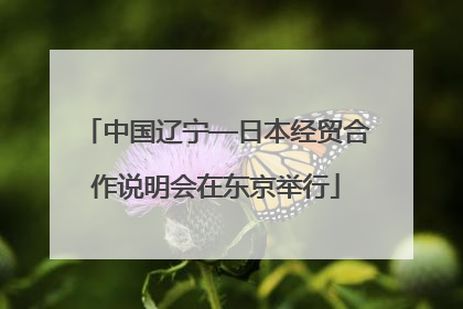 中国辽宁—日本经贸合作说明会在东京举行