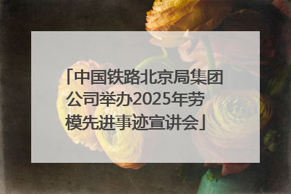中国铁路北京局集团公司举办2025年劳模先进事迹宣讲会